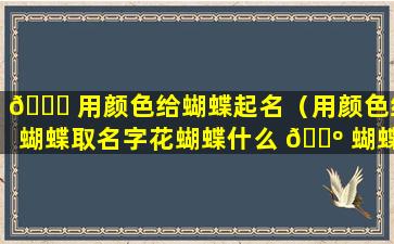 🐕 用颜色给蝴蝶起名（用颜色给蝴蝶取名字花蝴蝶什么 🐺 蝴蝶）